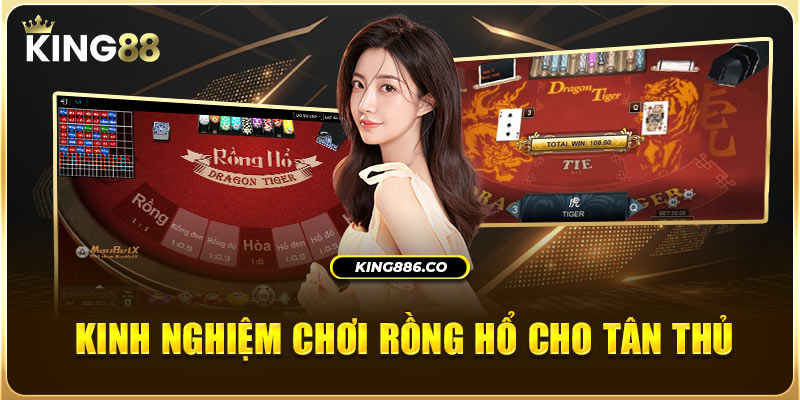 Sân Chơi Game Bài Rồng Hổ Cực Hay Cho Newbie Tại King88 Kinh nghiệm chơi Rồng Hổ cho tân thủ